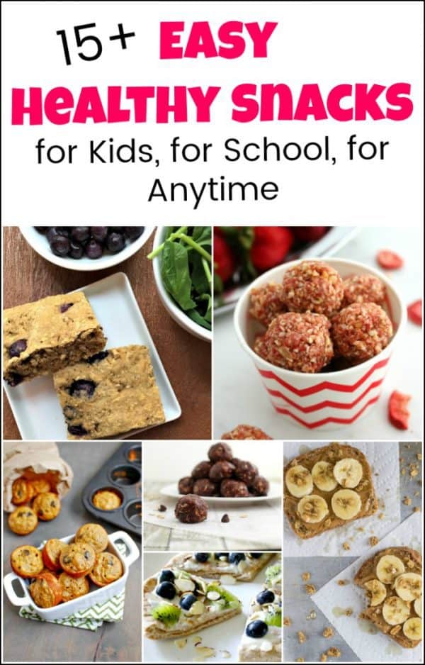 15+ Easy Healthy Snacks for Kids on the Go and Back to School